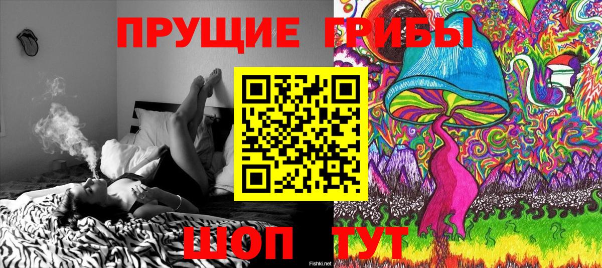Псилоцибиновые грибы ЛСД  Псилоцибиновые грибы Cubensis  Севастополь  Вход с VPN 